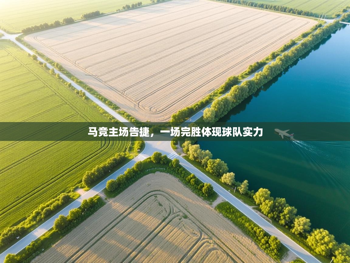 马竞主场告捷，一场完胜体现球队实力